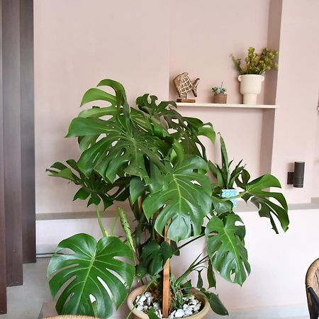 מלון חאניה Casa Enetiko מראה חיצוני תמונה
