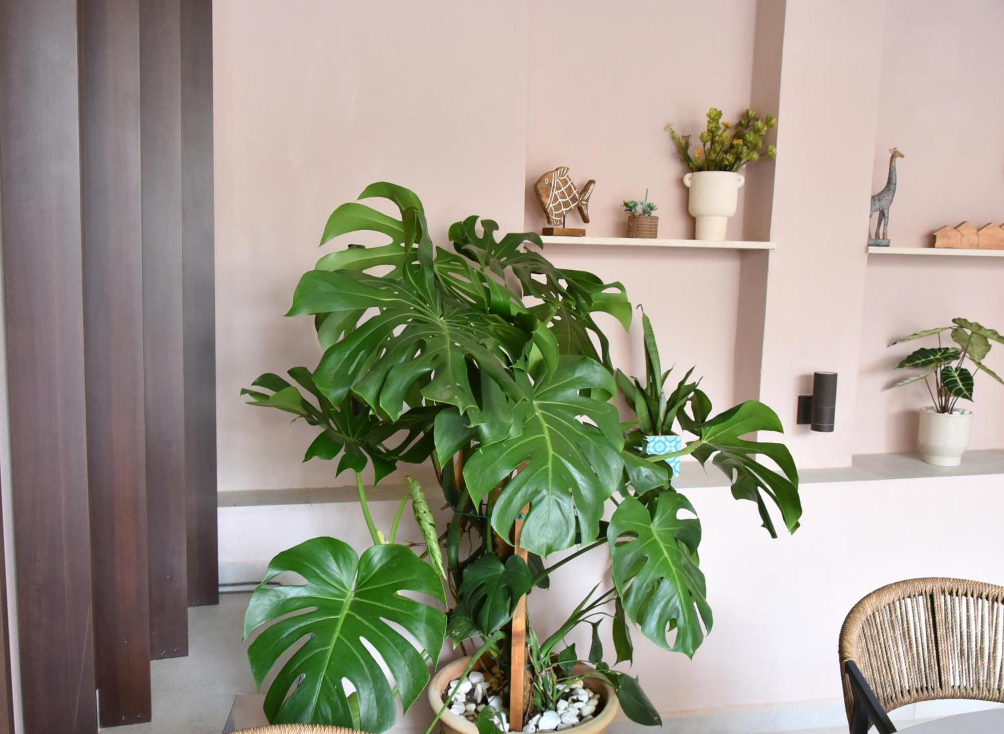 מלון חאניה Casa Enetiko מראה חיצוני תמונה